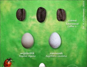 O jajach na Wielkanoc.