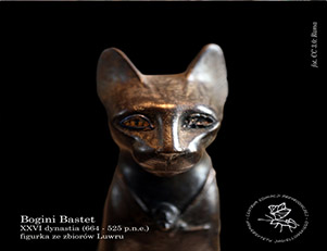 O kotach w Starożytnym Egipcie.