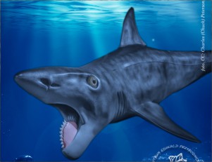Helikoprion - rekin z piłą tarczową