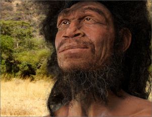 Obiekt miesiąca październik 2023 - rekonstrukcja Homo erectus