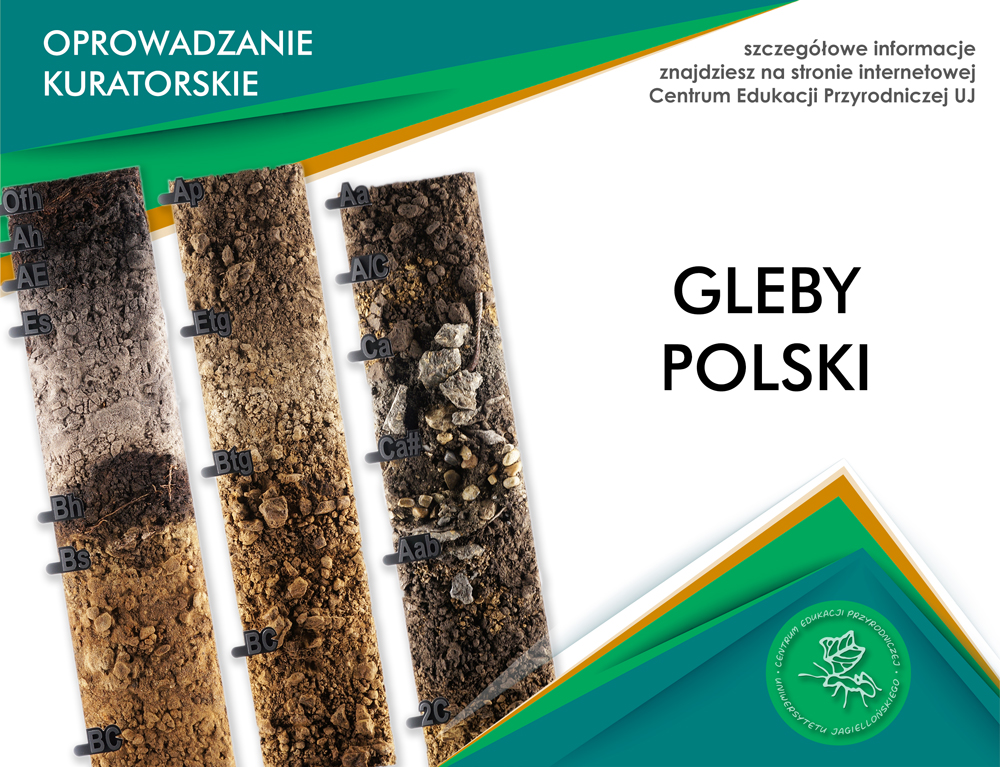 Gleby Polski