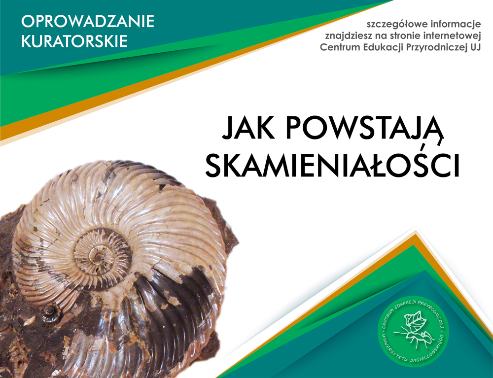 Jak powstają skamieniałości