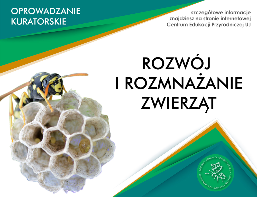 Rozwój i rozmnażanie się zwierząt