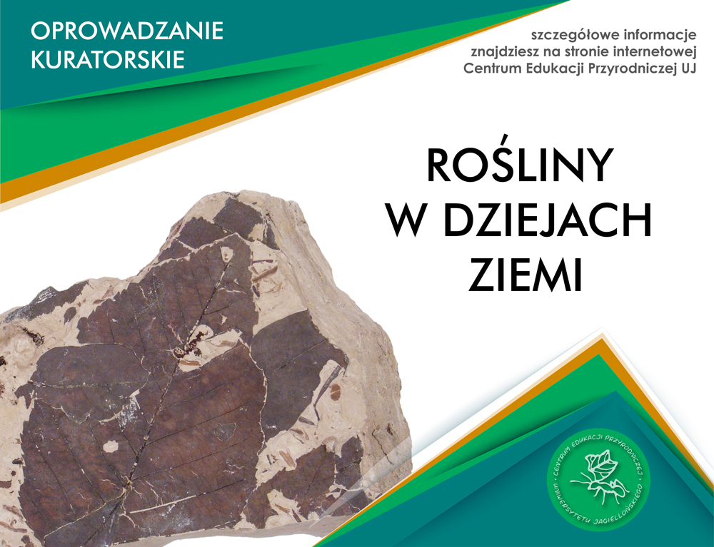 Rośliny w dziejach Ziemi