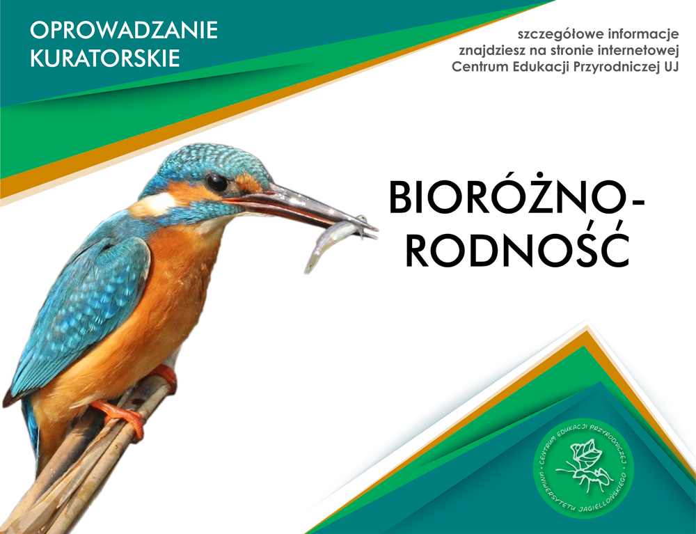 Bioróżnorodność