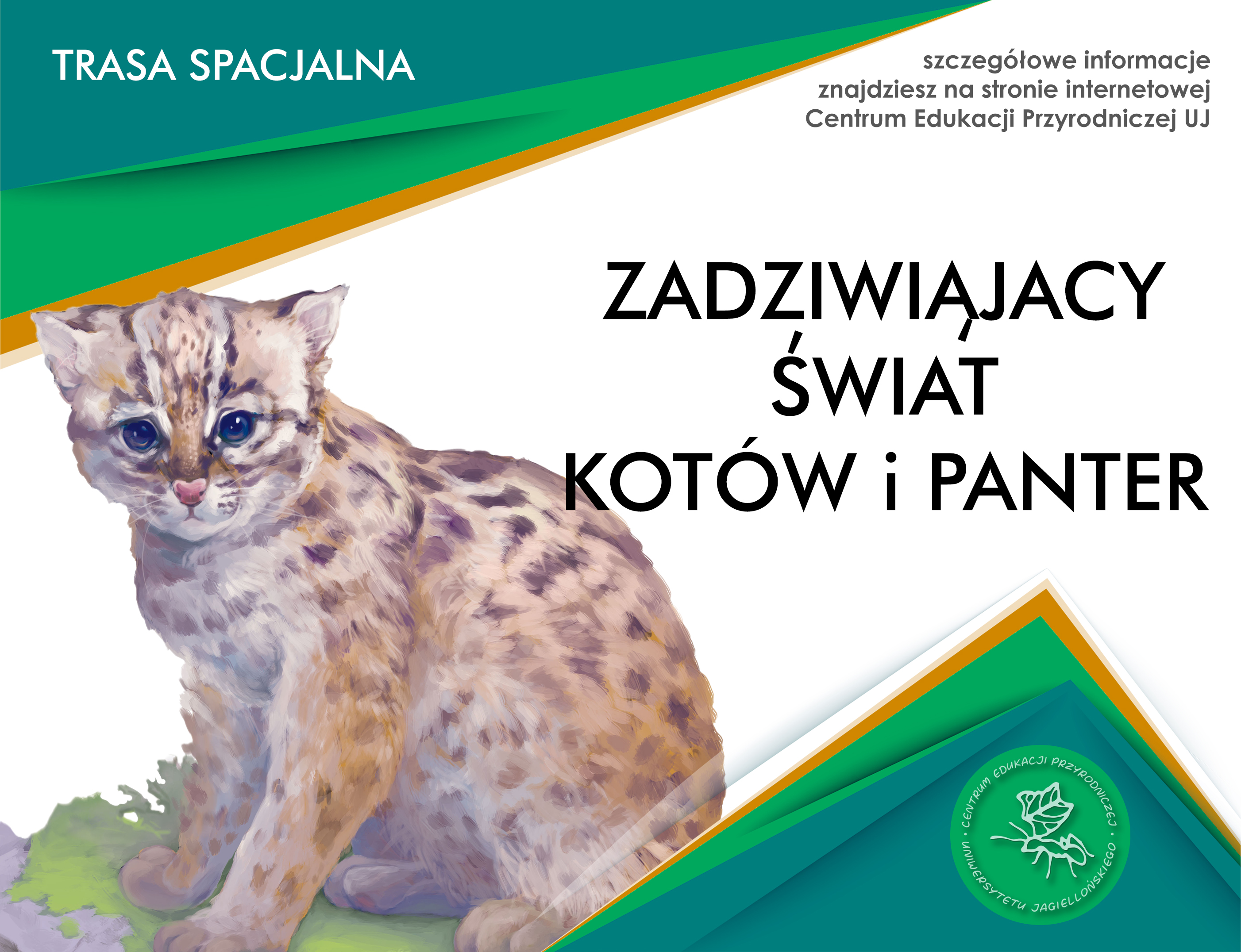 Zadziwiający świat kotów i panter