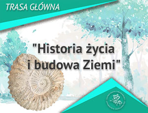 Historia życia i budowa Ziemi