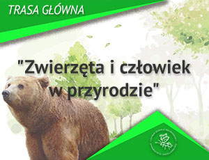 Zwierzęta i człowiek w przyrodzie