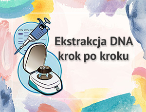 Ekstrakcja DNA krok po kroku
