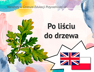 Po liściu do drzewa