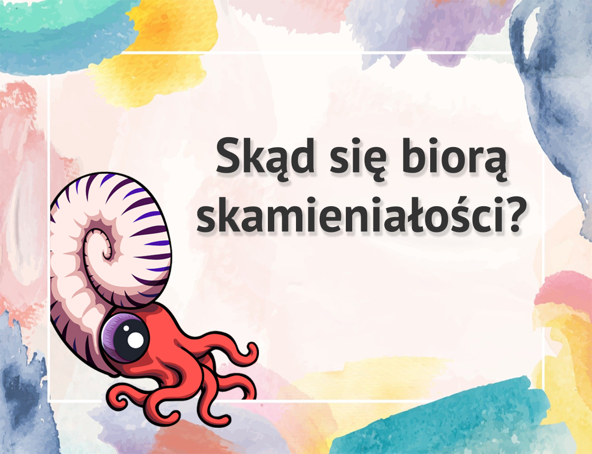Skąd się biorą skamieniałości?