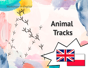 Animal Tracks