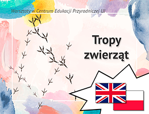 Tropy zwierząt