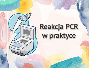 Reakcja PCR w praktyce