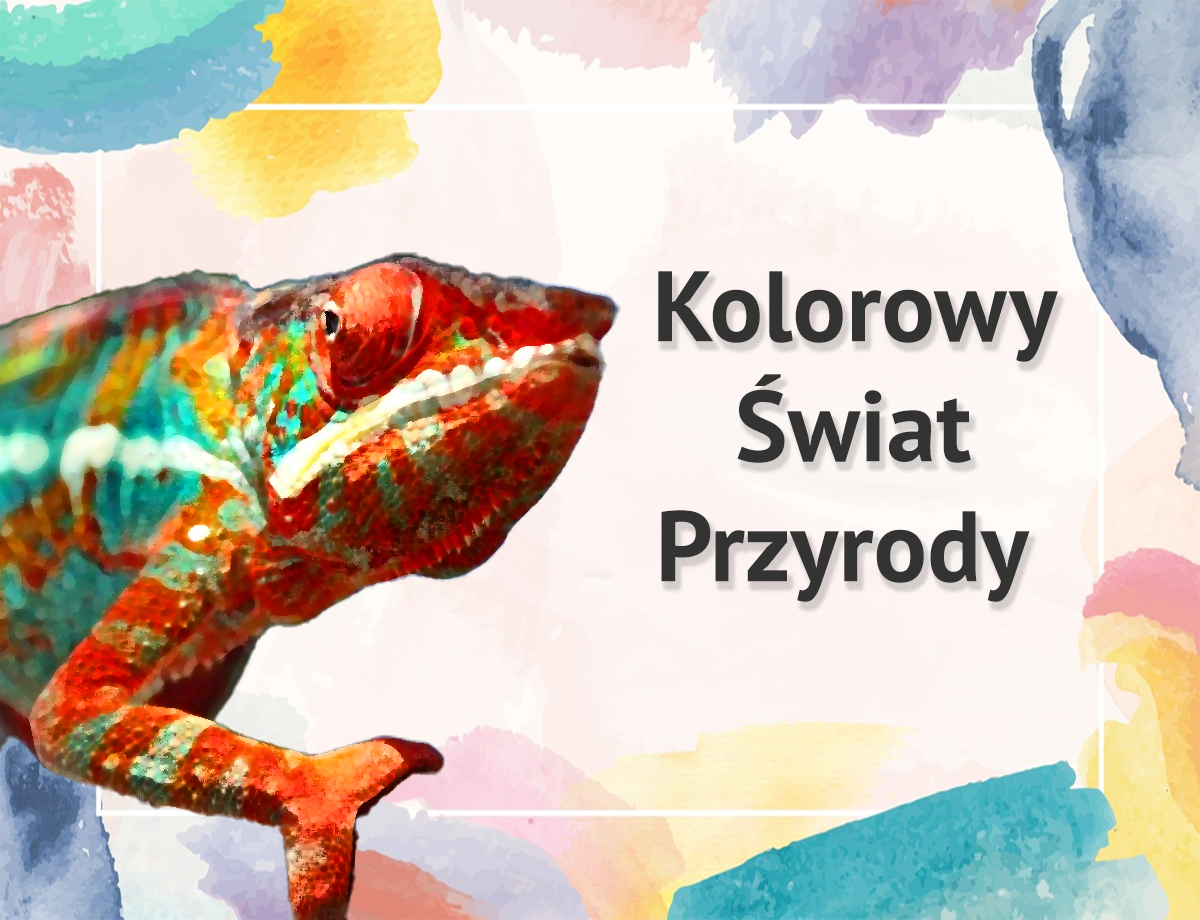 Kolorowy świat przyrody