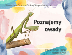Poznajemy owady