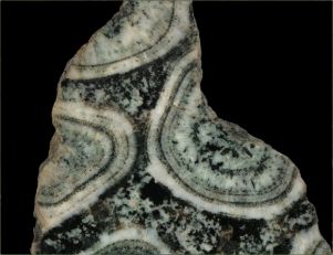 Object of the month June 2024 - Napoleonite or corsite?