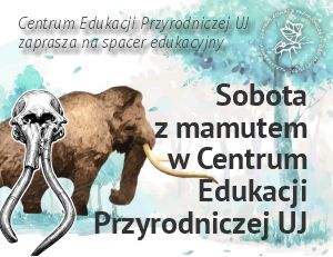 sobota, 2026.03.21