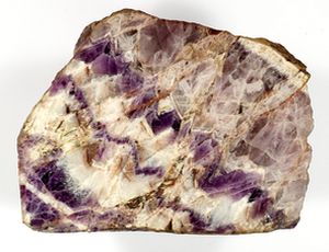 Geological Department