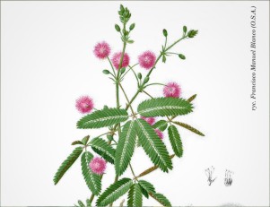 ilustracja tytułowa