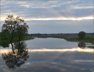 Wiosna nad Biebrzą