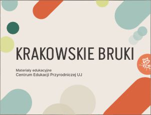 krakowskie bruki