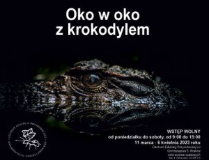 wystawa oko w oko z krokodylem