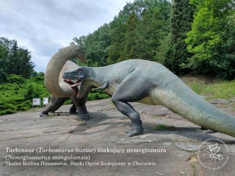 Zdjęcie nr 6 (10)
                                	                             skalna kotlina dinozaurow
                            