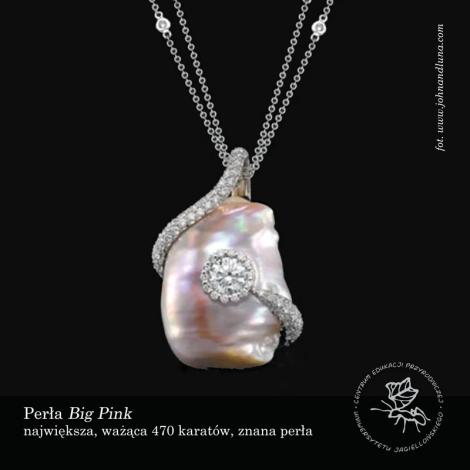 Zdjęcie nr 3 (4)
                                	                             Perła perle nierówna
                            