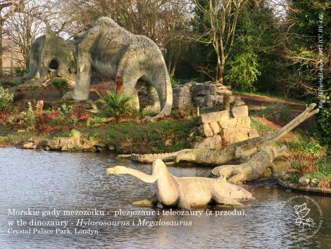 Zdjęcie nr 5 (9)
                                	                             dinozaury z crystal palace
                            