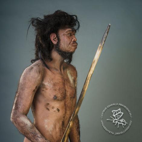 Zdjęcie nr 3 (6)
                                	                             Homo erectus
                            